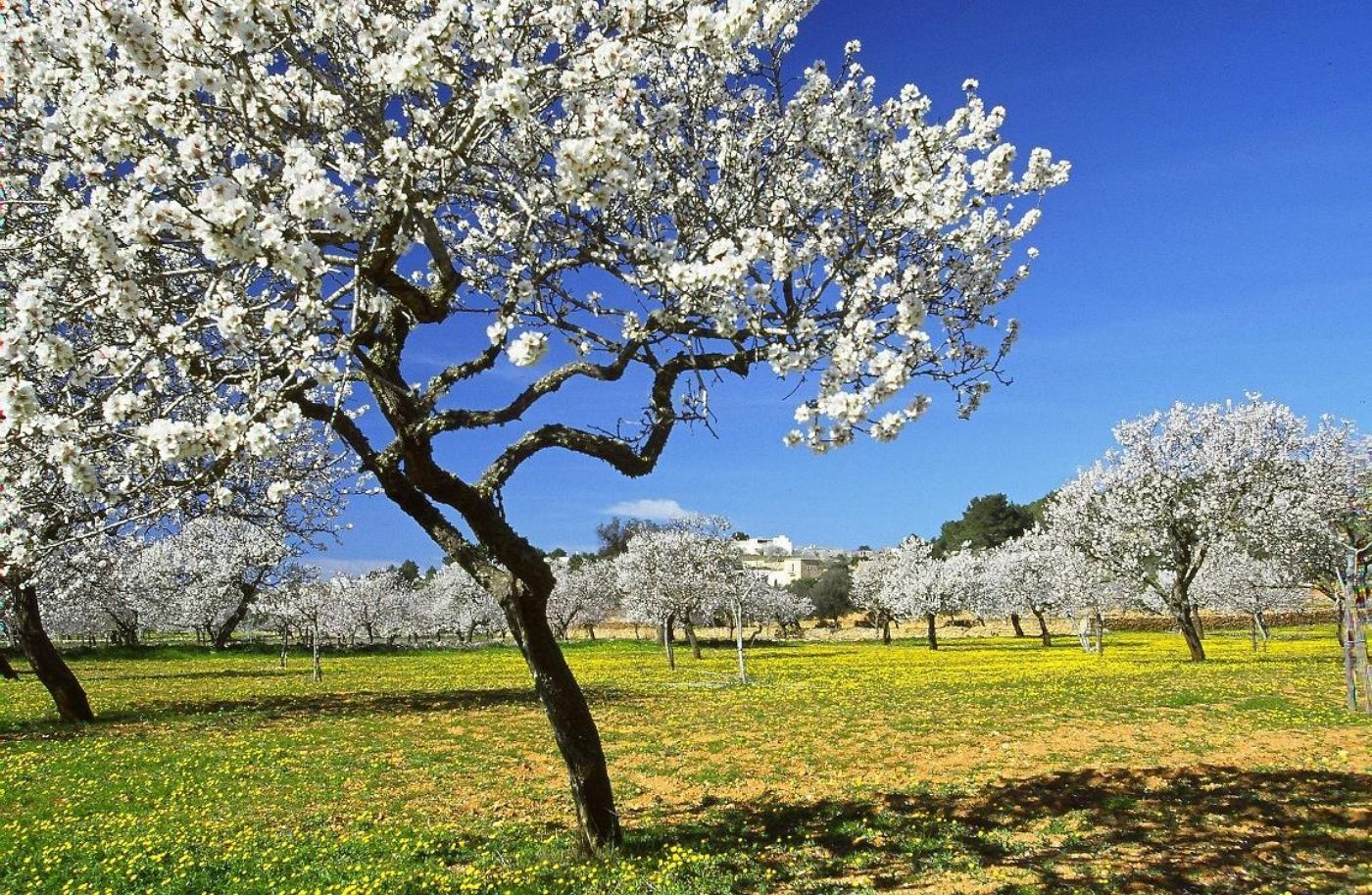 Naturaleza y aire libre